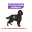 12 kg Royal Canin Sterilised Maxi pienso para perros, , large indicador imagen numero 5